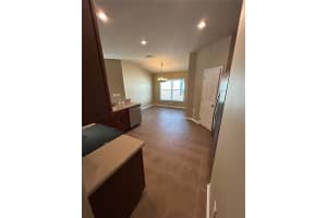 11543 TANGLE CREEK BOULEVARD, GIBSONTON, FL 33534 - MLS#MFRO6392266