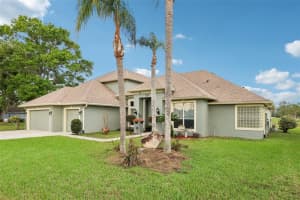 20421 NETHERLAND STREET, ORLANDO, FL 32833 - MLS#MFRO6392275