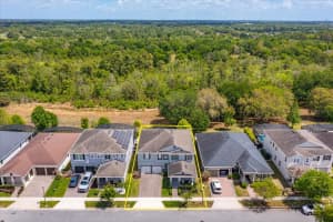 13813 PEACH ORCHARD WAY, WINTER GARDEN, FL 34787 - MLS#MFRO6392351