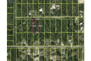 SW NAUTILUS BLVD, DUNNELLON, FL 34431 - MLS#MFRO6392478