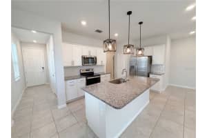 20416 MONZA LOOP, LAND O LAKES, FL 34638 - MLS#MFRO6392503