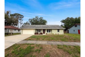1415 SANDALWOOD DRIVE, PLANT CITY, FL 33563 - MLS#MFRO6392601