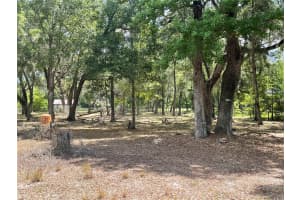 63 LAKE WOOD CIRCLE, OCALA, FL 34482 - MLS#MFRO6392613