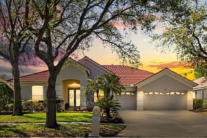 10207 ARBOR SIDE DRIVE, TAMPA, FL 33647 - MLS#MFRO6392696