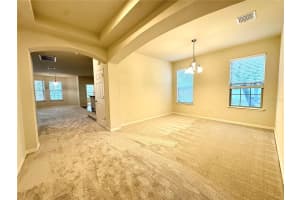 11903 CAVE RUN AVENUE, WINDERMERE, FL 34786 - MLS#MFRO6392757