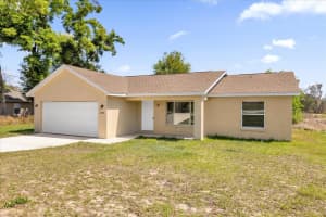 233 LOCUST PASS DRIVE, OCALA, FL 34472 - MLS#MFRO6392811