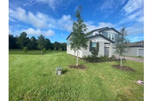 17367 MILLION LAKES COURT, CLERMONT, FL 34714 - MLS#MFRO6392887