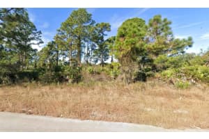 720 PEACOCK AVENUE, LEHIGH ACRES, FL 33974 - MLS#MFRO6392938