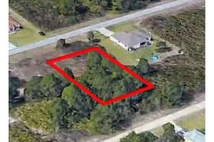 720 PEACOCK AVENUE, LEHIGH ACRES, FL 33974 - MLS#MFRO6392938