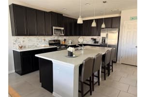 1501 FINCHBURG STREET, MINNEOLA, FL 34715 - MLS#MFRO6393028