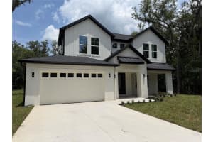 1602 LAKE HARNEY, GENEVA, FL 32732 - MLS#MFRO6393137
