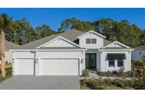 997 TASSLEFLOWER TRAIL, ST CLOUD, FL 34771 - MLS#MFRO6393197