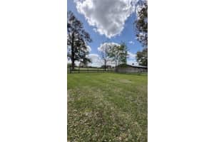 6030 185TH TERRACE, WILLISTON, FL 32696 - MLS#MFRO6393233