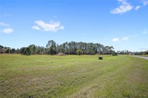 38514 WOODED MEADOW DRIVE, UMATILLA, FL 32784 - MLS#MFRO6393238