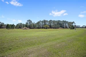 38514 WOODED MEADOW DRIVE, UMATILLA, FL 32784 - MLS#MFRO6393238