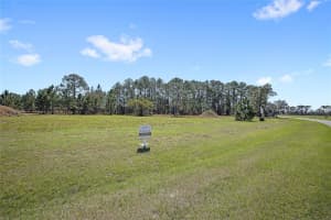 38514 WOODED MEADOW DRIVE, UMATILLA, FL 32784 - MLS#MFRO6393238