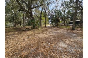 4210 175TH STREET ROAD, CITRA, FL 32113 - MLS#MFRO6393306