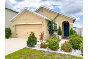 11124 LELAND GROVES DRIVE, RIVERVIEW, FL 33579 - MLS#MFRO6393442