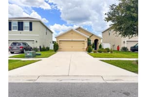 11124 LELAND GROVES DRIVE, RIVERVIEW, FL 33579 - MLS#MFRO6393442