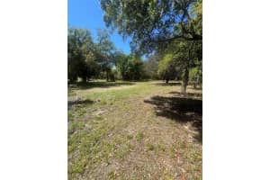 2518 HAAS ROAD, APOPKA, FL 32712 - MLS#MFRO6393465