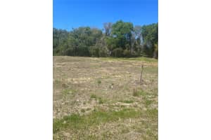 2518 HAAS ROAD, APOPKA, FL 32712 - MLS#MFRO6393465