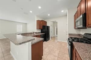 21081 PLEASANT PLAINS PARKWAY, LAND O LAKES, FL 34637 - MLS#MFRO6393493