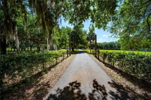 3313 WESTSHORE DRIVE, ST CLOUD, FL 34772 - MLS#MFRO6393497