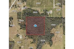 HIDDEN GROVE RD, CLERMONT, FL 34711 - MLS#MFRO6393518