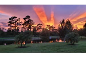 3879 WINGED ELM COURT, CLERMONT, FL 34714 - MLS#MFRO6393569