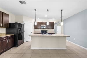 16141 YELLOWEYED DRIVE, CLERMONT, FL 34714 - MLS#MFRO6393608