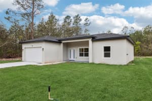 80 MALAUKA PASS COURSE, OCKLAWAHA, FL 32179 - MLS#MFRO6393712