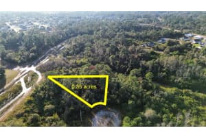 616 LOMBARDY COURT, LEHIGH ACRES, FL 33972 - MLS#MFRO6393745