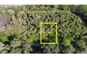 1219 ROSITA STREET, LEHIGH ACRES, FL 33974 - MLS#MFRO6393773
