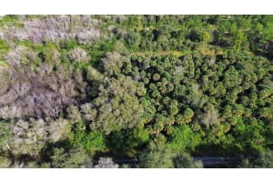 1219 ROSITA STREET, LEHIGH ACRES, FL 33974 - MLS#MFRO6393773