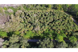 1219 ROSITA STREET, LEHIGH ACRES, FL 33974 - MLS#MFRO6393773