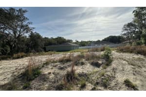 OAK LN, OCALA, FL 34472 - MLS#MFRO6393775