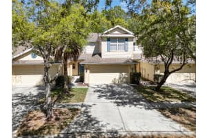 MLS# MFRO6393793, Tampa, Florida 33647