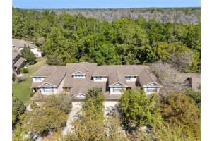 MLS# MFRO6393793, Tampa, Florida 33647