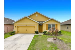3180 BURROWING OWL DRIVE, MIMS, FL 32754 - MLS#MFRO6393823