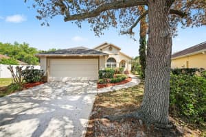 2238 HOLLY RIDGE DRIVE, OCOEE, FL 34761 - MLS#MFRO6393842