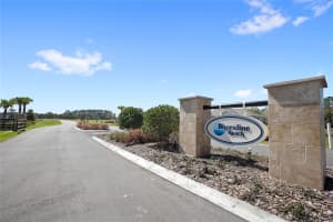 38361 LAKE MEADOW COURT, UMATILLA, FL 32784 - MLS#MFRO6393861