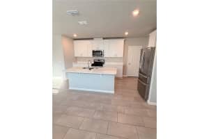 30486 PINTAIL DRIVE, LEESBURG, FL 34748 - MLS#MFRO6393869