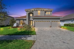 7256 HEATHER SOUND LOOP, WESLEY CHAPEL, FL 33545 - MLS#MFRO6393898