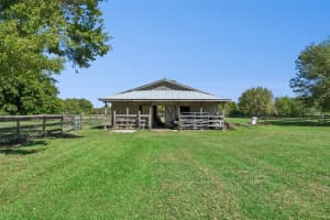 3141 APPALOOSA COURT, KISSIMMEE, FL 34746 - MLS#MFRO6393975