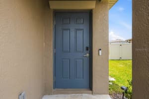 9617 BRANCHING SHIP TRACE, WESLEY CHAPEL, FL 33545 - MLS#MFRO6394020