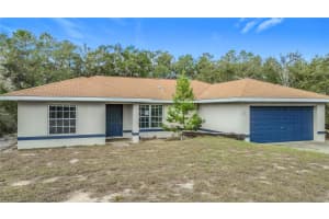50 MALAUKA PASS COURSE, OCKLAWAHA, FL 32179 - MLS#MFRO6394113