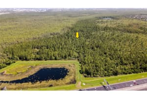 Vacant Land on INTERNATIONAL DRIVE, ORLANDO, FL 32821 - MLS#MFRO6394131