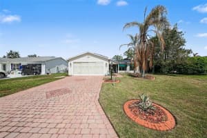 1239 CHAPARRAL DRIVE, LADY LAKE, FL 32159 - MLS#MFRO6394215