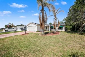 1239 CHAPARRAL DRIVE, LADY LAKE, FL 32159 - MLS#MFRO6394215