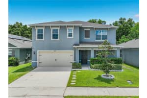 3657 Crimson Clover Dr, MOUNT DORA